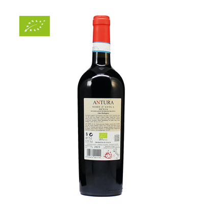 Maggio Nero D'Avola Sicilia 2023 - BIO