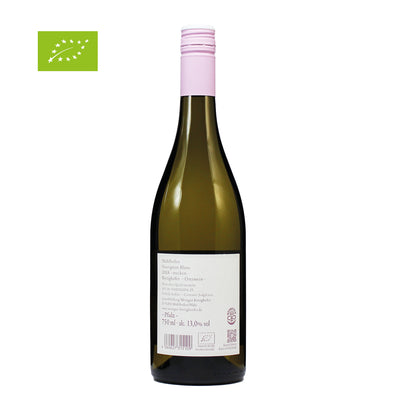 Sauvignon Blanc Mühlhofen trocken 2024 - BIO