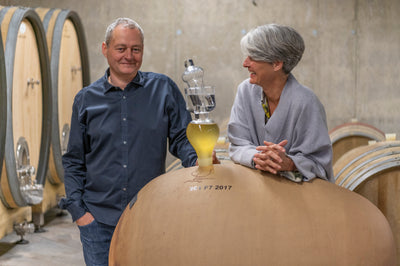 Heinrich Zweigelt 2019 BIO