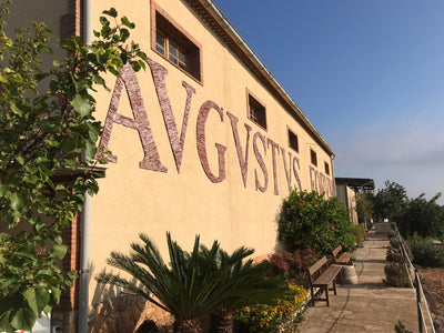 AVGVSTVS Cabernet Franc 2019 BIO