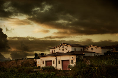 Berzal Crianza 2019
