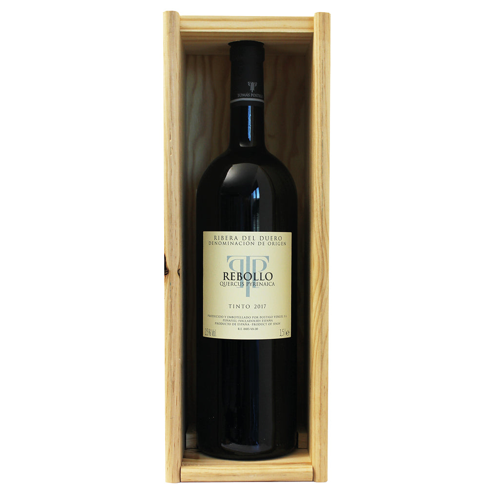 Tomas Postigo Rebollo 2017 Magnum