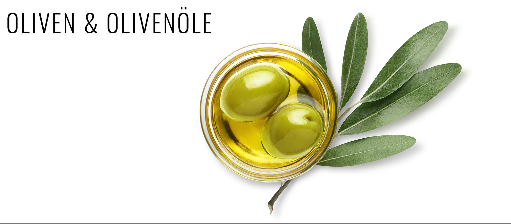 Oliven und Olivenöl von Meroh.de