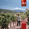WEINTREFF mit Jürgen Wagner von Capcanes am 31.10.25