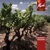 WEINTREFF mit Jürgen Wagner von Capcanes am 31.10.25